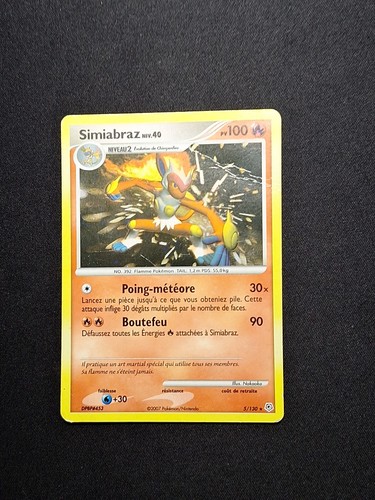 Holo simiabraz 130 dp - holo, 5/130