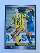 CARTE PANINI 1995 - LAURENT