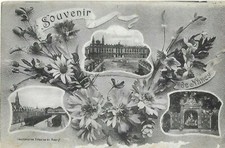 CPA cartes postales anciennes  Souvenir de Nancy fleurs vues