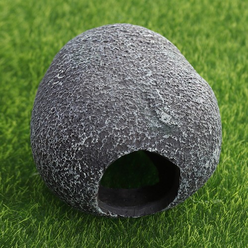 Accessoires pour reptiles - pour,