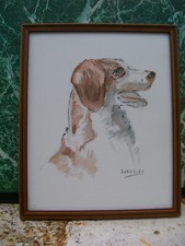 Epagneul Aquarelle originale