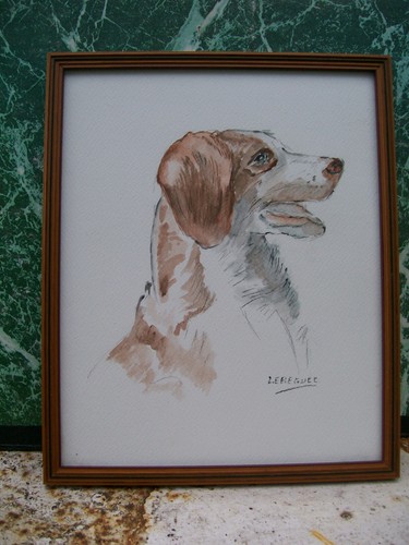 Epagneul aquarelle originale - aquarelle,