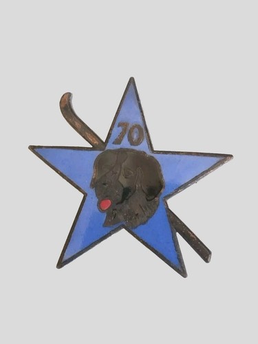 Insigne section éclaireur