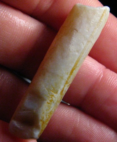 Fossile pipe belemnite - o&co,