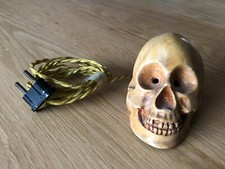 Très Rare - CRÂNE Avec Lumière - Plâtre - Pour Collectionneurs