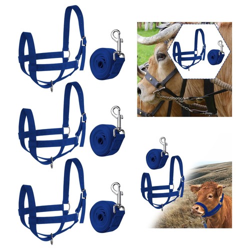 Licol réglable avec corde - licol,