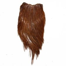 Plume de cou de coq marron