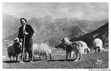 BV-BFP1-0167-65 - BERGER DES PYRENEES au col d'Aubisque