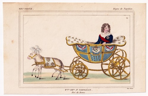 Napoléon bonaparte roi de - ii,