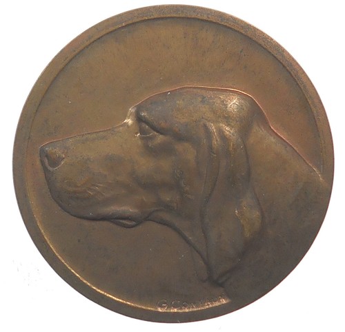 France setter chien prix - chien,