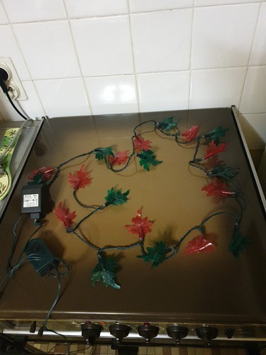 Guirlande électrique - ,