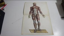 1850.lithographie couleur