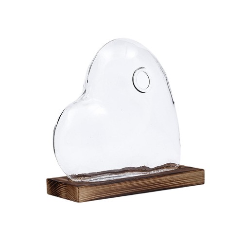 Conteneur terrarium vase en - conteneur,