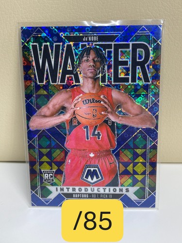 Kobe walter rc - 🏀, 2024-25