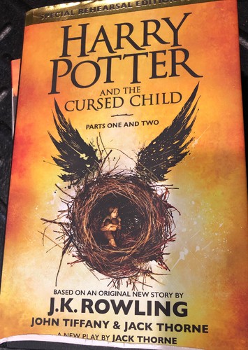 Harry potter and the - potter,