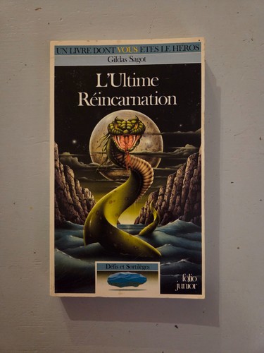 Livre dont vous êtes - livre,