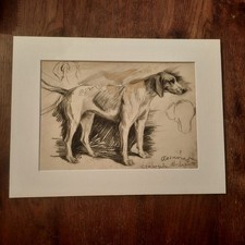 Dessin Ancien Animalier Fond