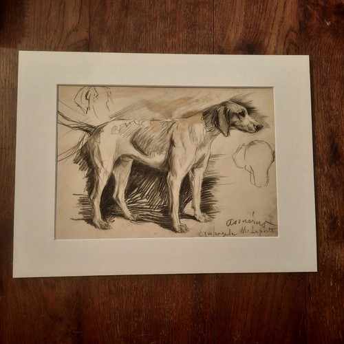 Dessin ancien animalier fond - ancien,
