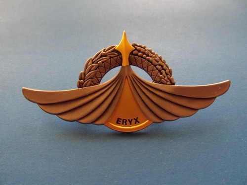Armée française insigne - armée,