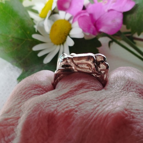 Bague érotique couple