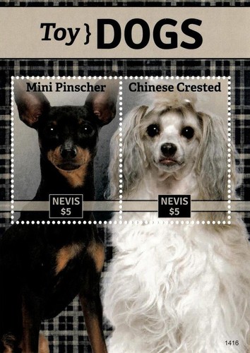 Toy dogs stamp sheet mini - dogs,