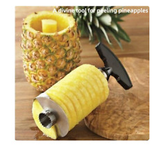 Éplucheur d'ananas en acier inoxydable¦trancheur de fruits¦gadgets de cuisine