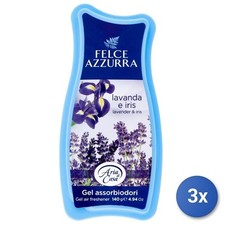 3X Felce Azzurra Maison