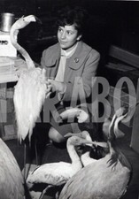 Photo De Presse Vintage