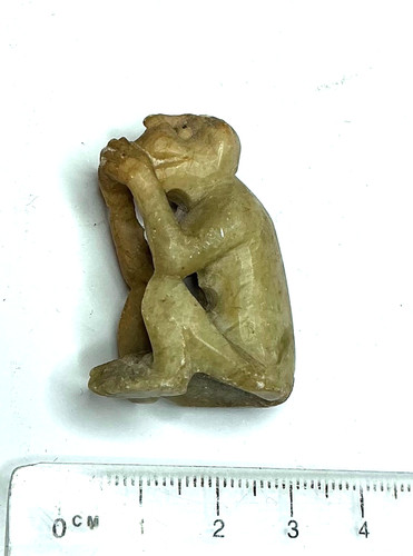 Des singes de la - 10,