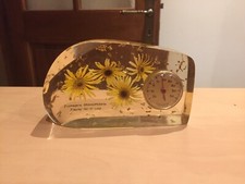 Inclusion en résine