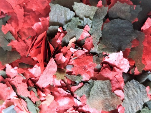 Tanganyika flake food - flake,
