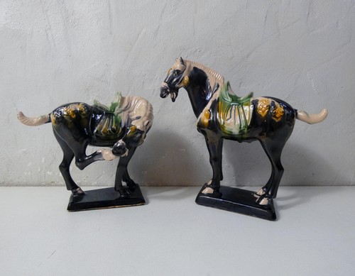 Chevaux tang cheval - tang,