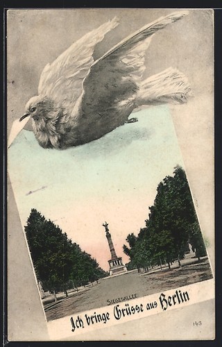 Carte postale