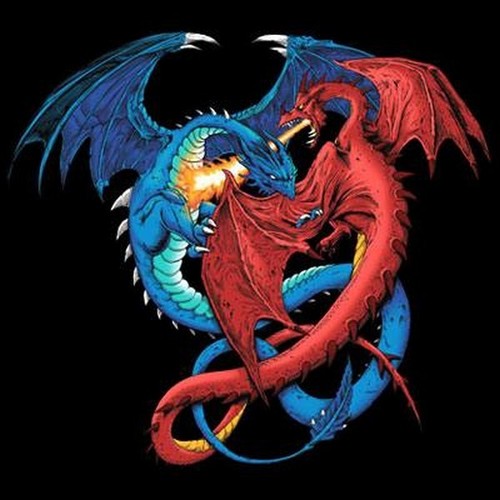 Duel dragon shirt choose - dragon,