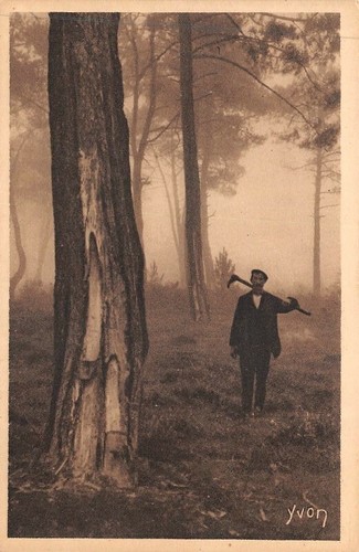 Gemmeur bourreau des - le,