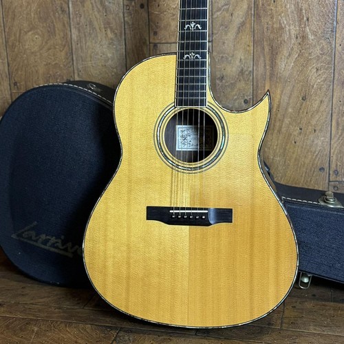 Larrives tiger 1995 - larrives,