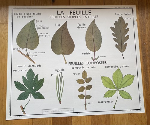 Ancienne carte affiche - ancienne,