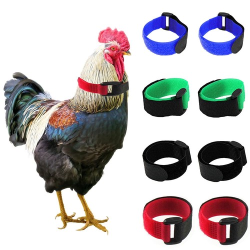 Tkocisa pack crow - tkocisa,
