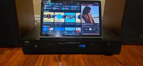 Nad 338 hybrid digital - hybrid,