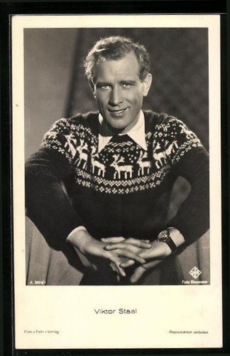 Acteur viktor staal pull - viktor,