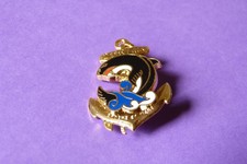 INSIGNE REGIMENT "21ème RIMA