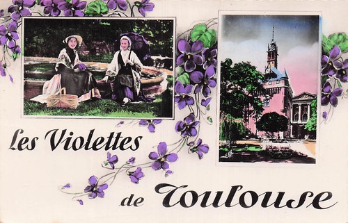 Toulouse les violettes de - 31,