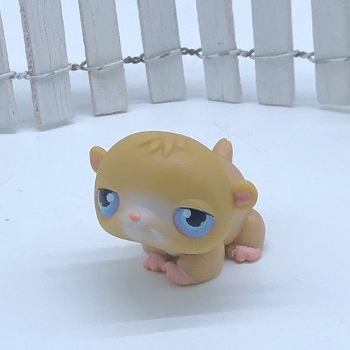 Hasbro littlest pet - hasbro,