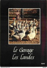 Metiers - Gaveuse d'oies - Landes - CPM - Voir Scans Recto-Verso