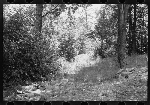 Photo garrett county maryland - photo:garrett,