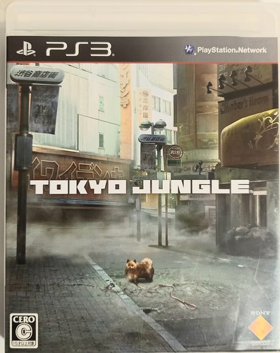Sony computer entertainment - computer,