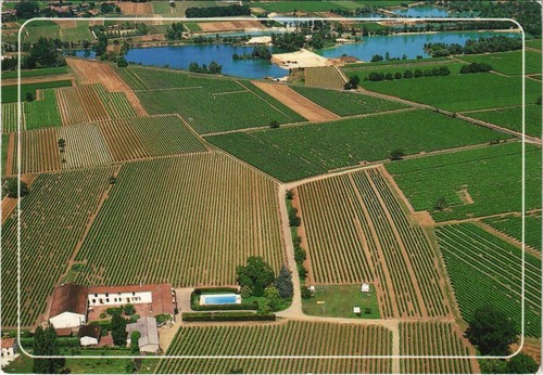 Cpm cognac pineau - pineau, des