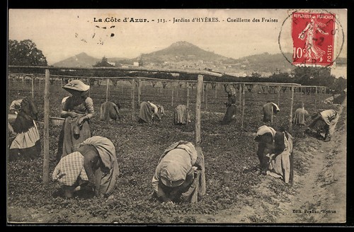 Côte azur jardins - côte, d'azur,