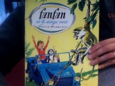 A FANFAN ET LE SINGE VERT