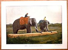 ÉLÉPHANTS TRAÎNANT UN MADRIER  Inde - Photochromie fin 19ème  gravure